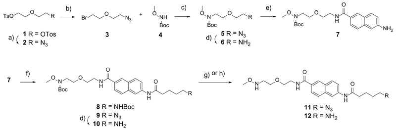 Scheme 1