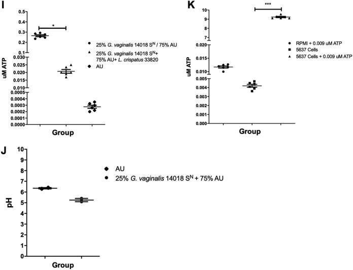 FIG 3