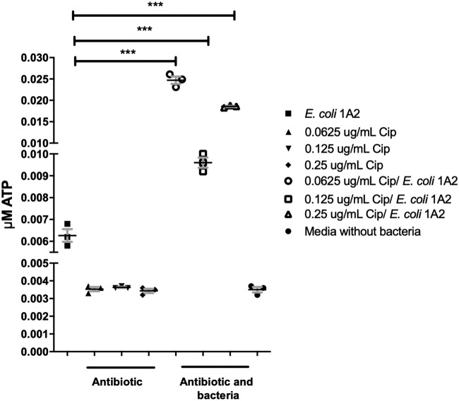 FIG 4