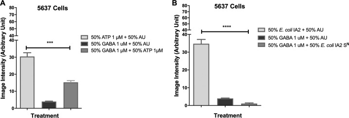 FIG 6