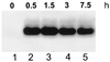 FIG. 8