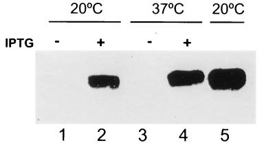 FIG. 6