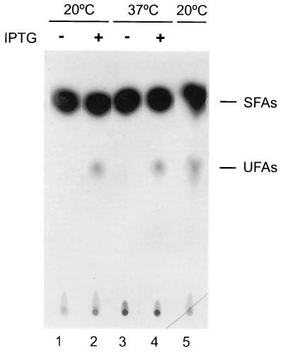 FIG. 7