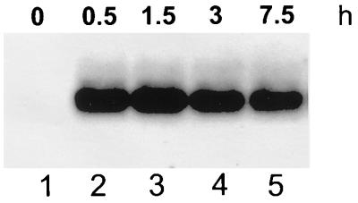 FIG. 8