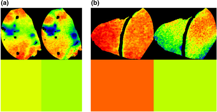 Fig. 5