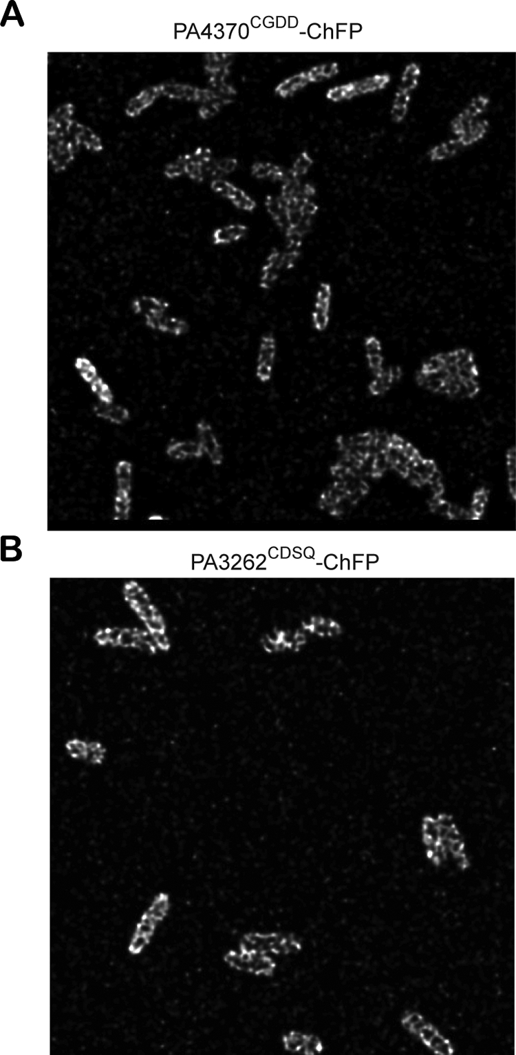 FIG. 4.