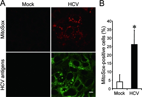 FIG. 7.