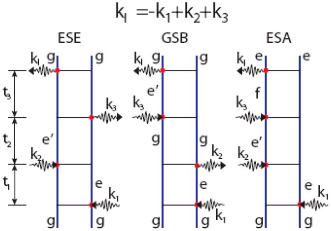 Fig. 10