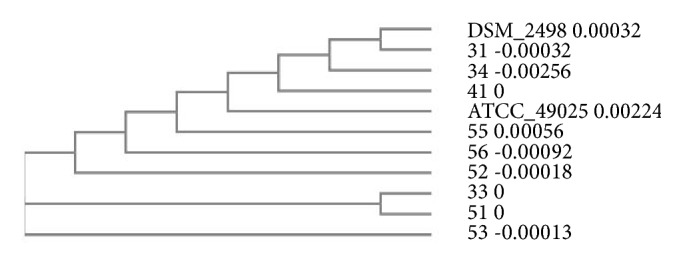 Figure 9