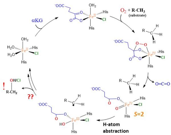 Scheme 1