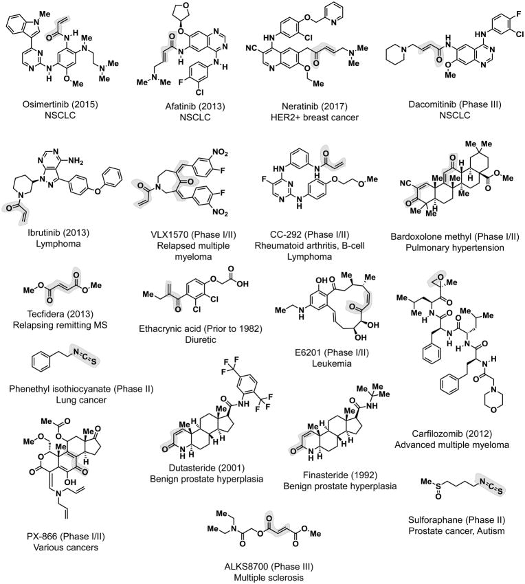 Figure 21