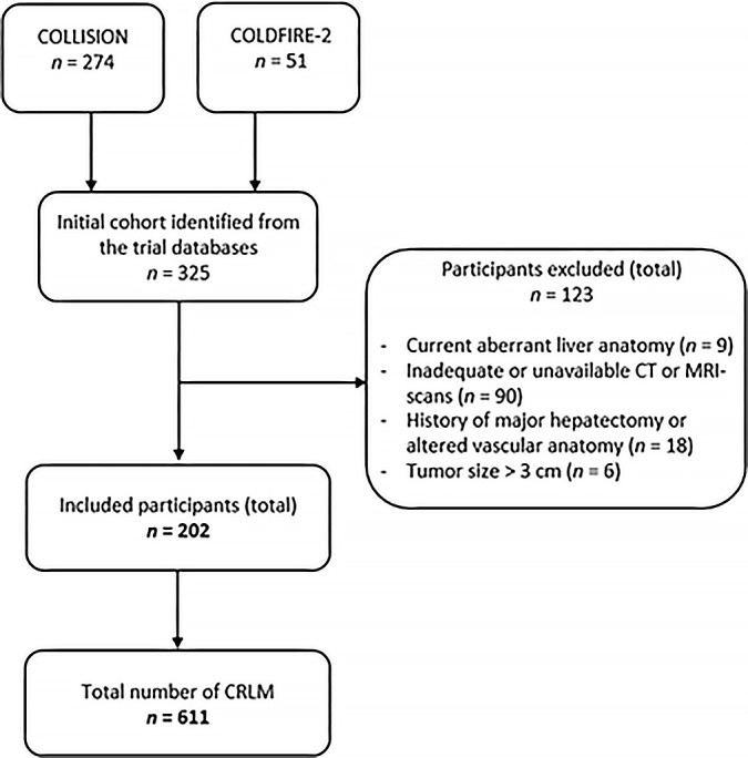 Flowchart of the study participant selection procedure. CRLM = colorectal liver metastases.