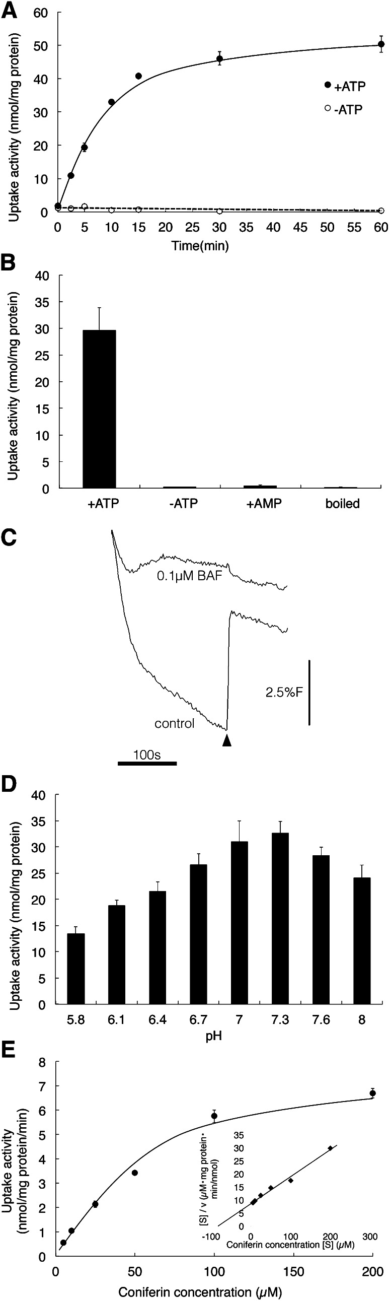 Figure 3.