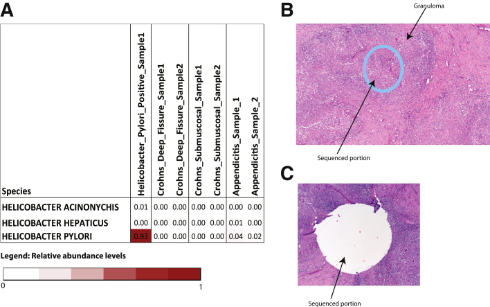 Supplementary Figure 1