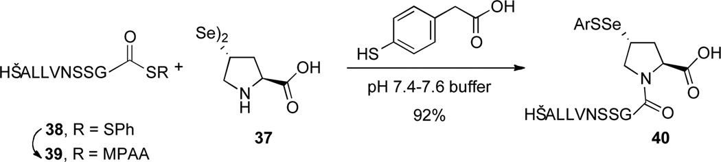 Scheme 7