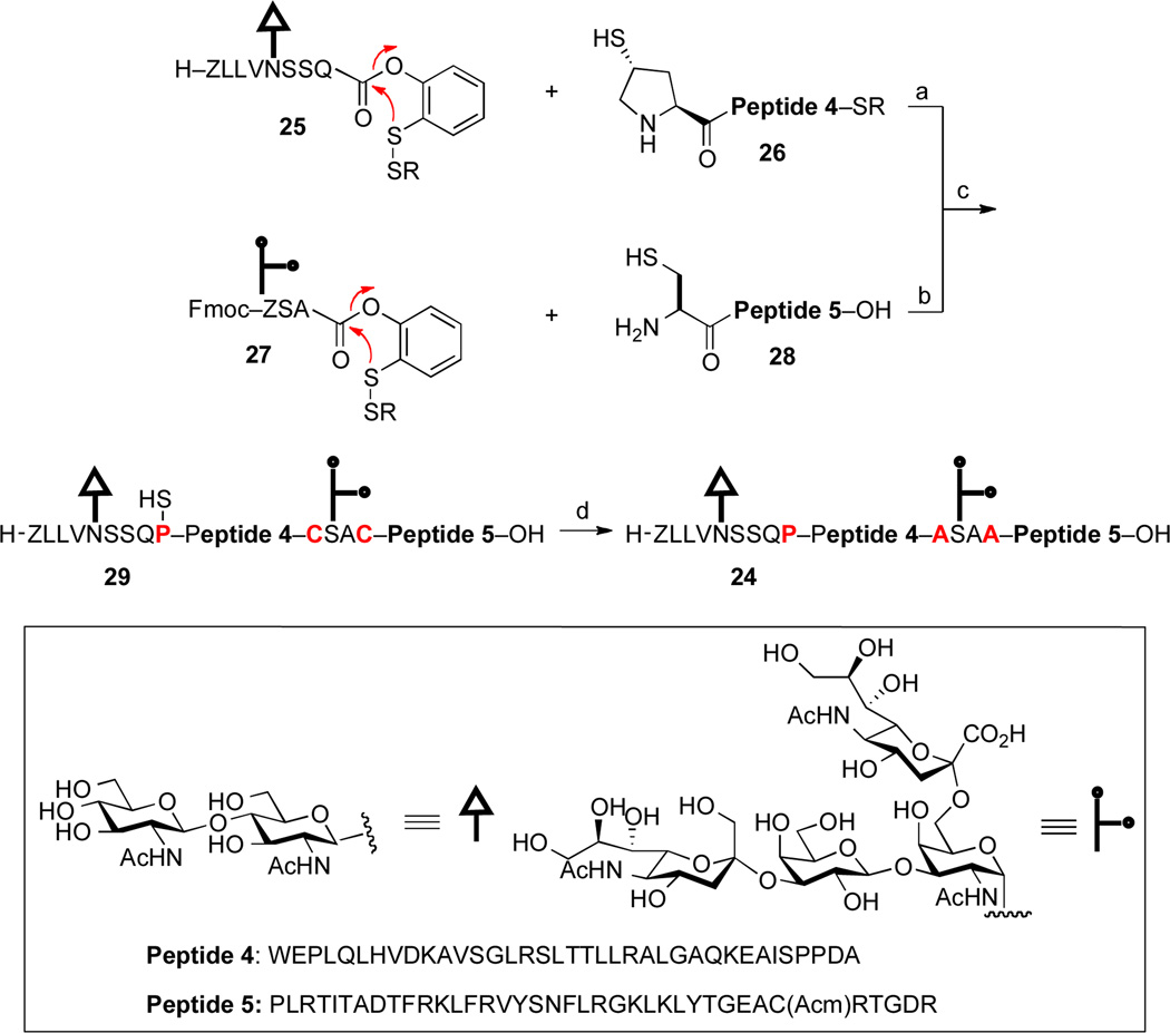 Scheme 4