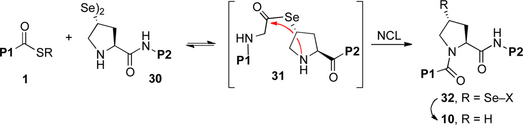 Scheme 5