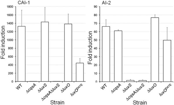 Fig.1