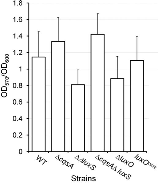 Fig.2