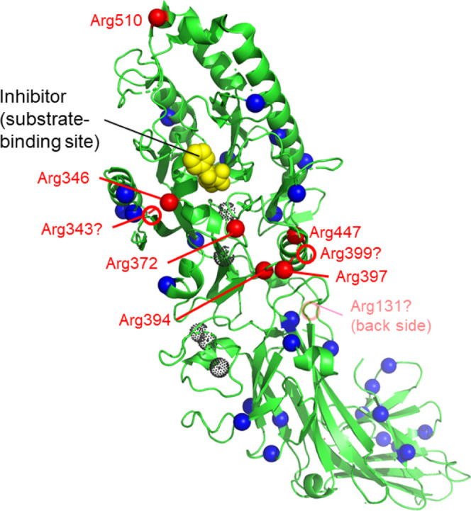 Figure 7