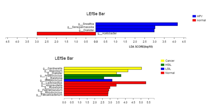 Figure 4 -