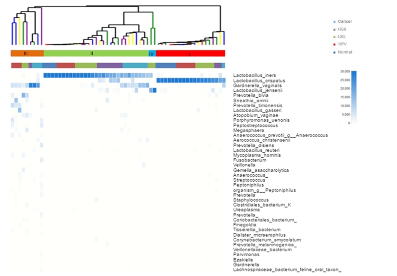 Figure 2 -