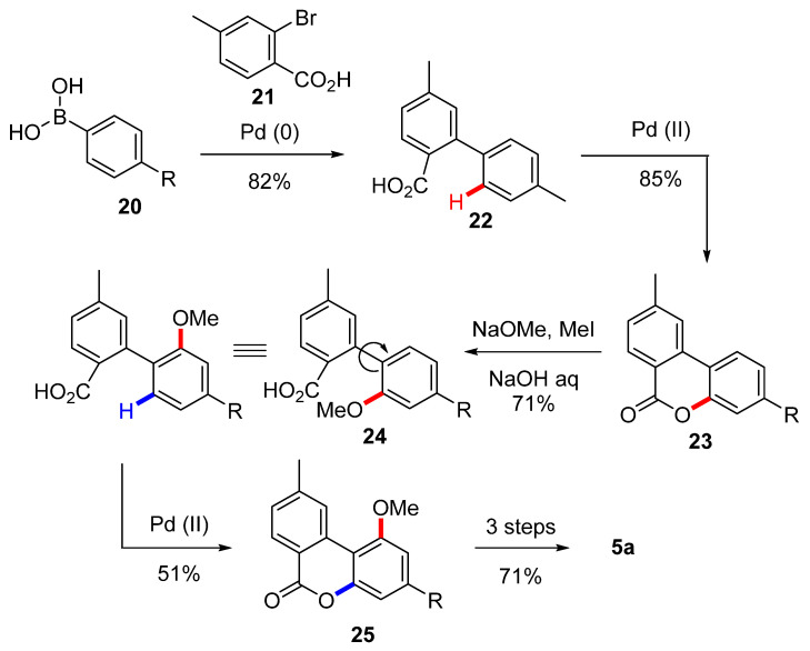 Scheme 5