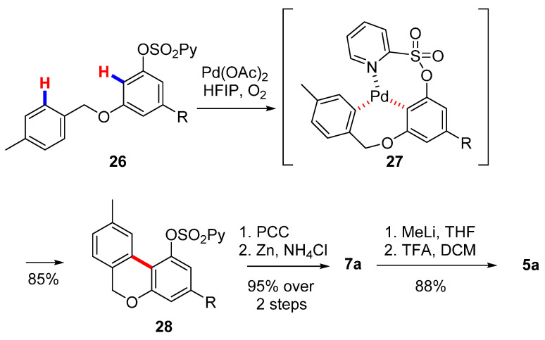 Scheme 6