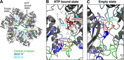 FIGURE 1.