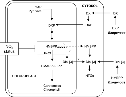 Fig. 7.