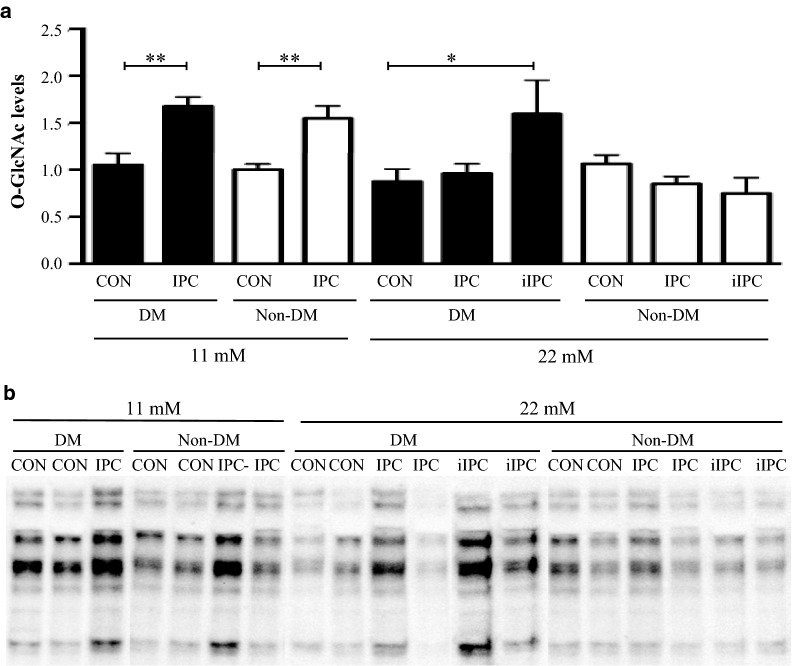 Fig. 4