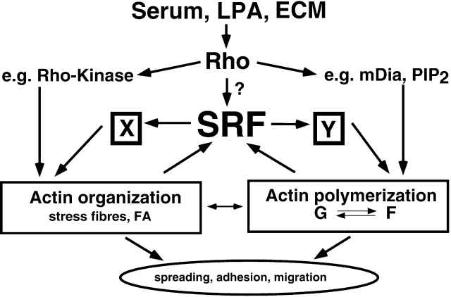 Figure 9.