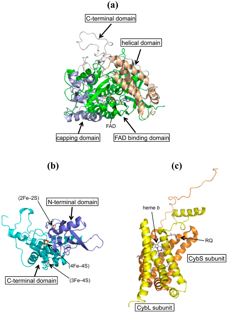 Figure S1