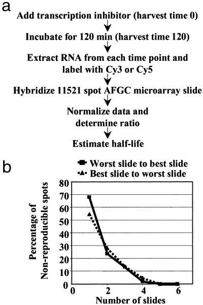 Fig 1.