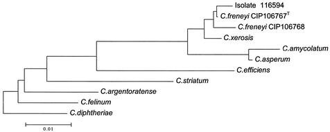 FIG. 1.