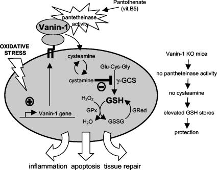 FIG. 7.