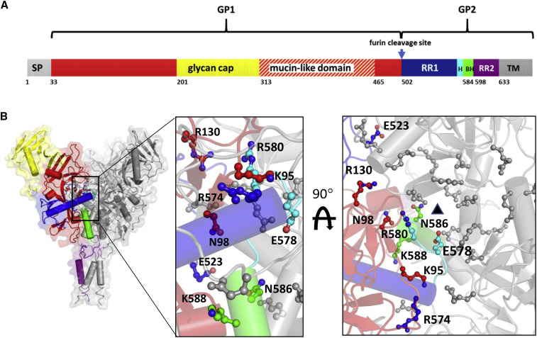 Figure 1