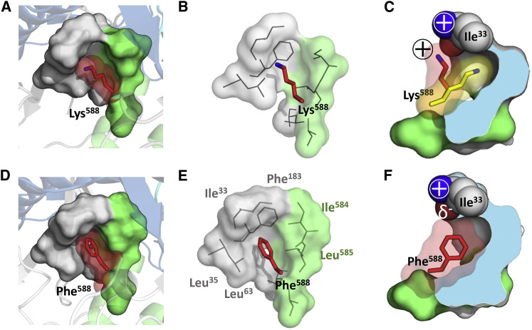 Figure 6