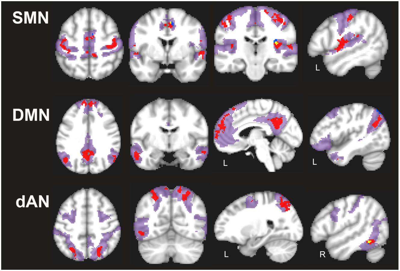 Figure 2.