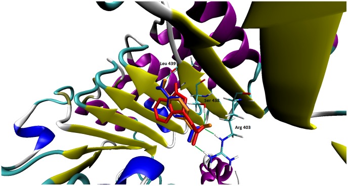 Figure 4