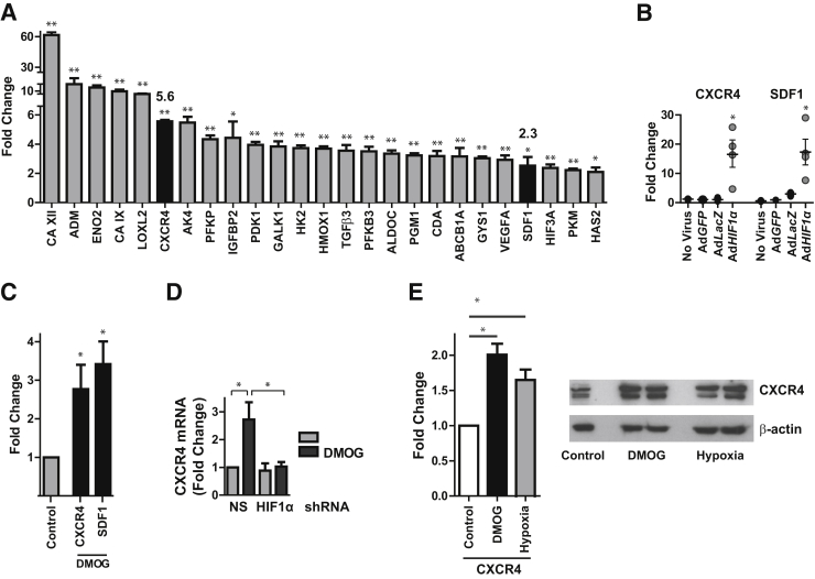 Figure 5