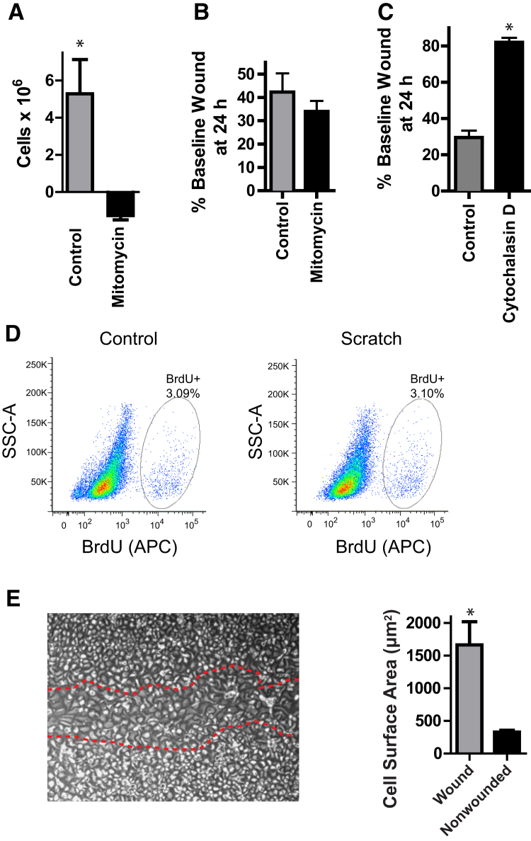 Figure 3