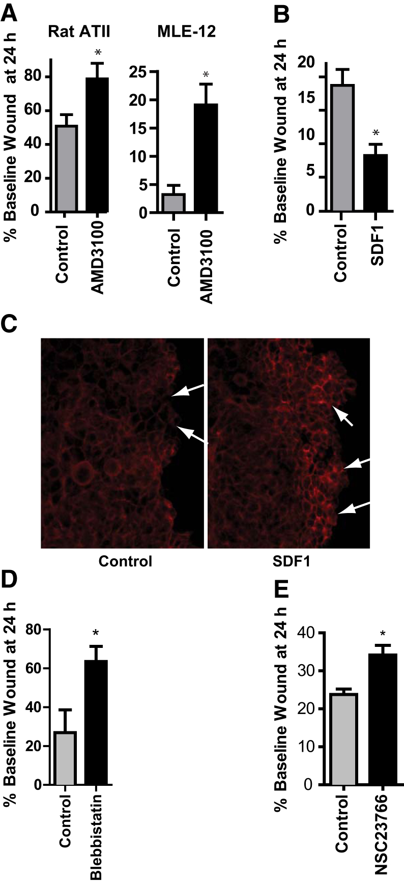 Figure 6