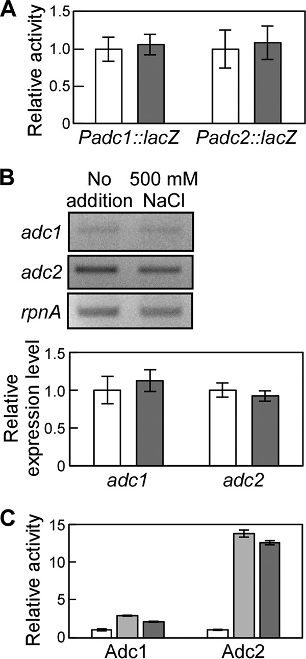 FIG 4