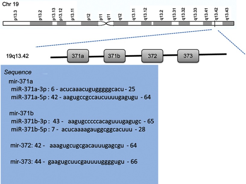 Figure S1