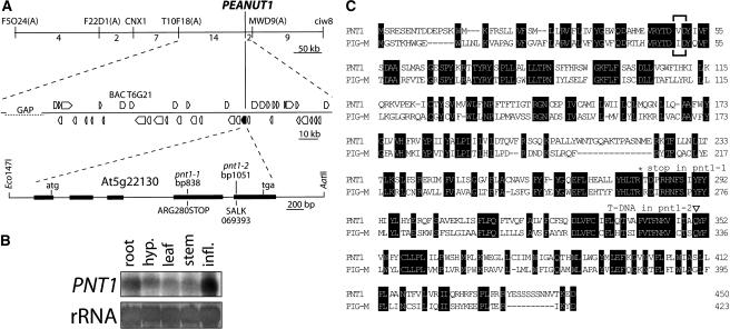 Figure 6.