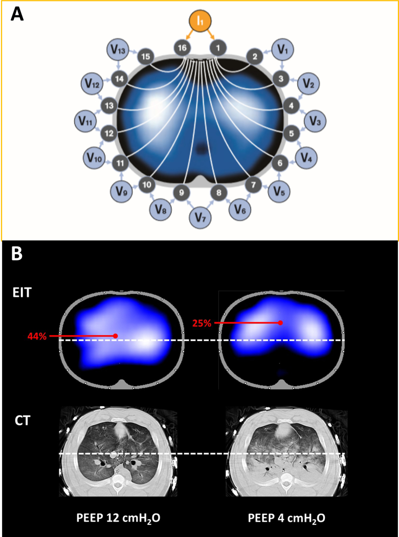 Figure 11: