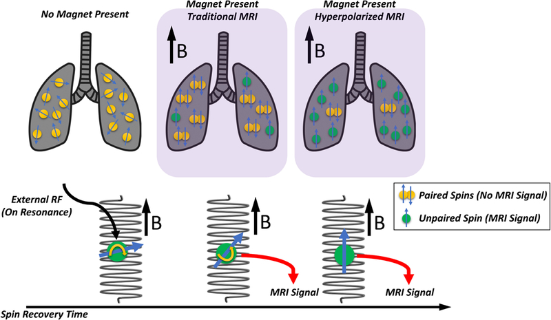 Figure 9: