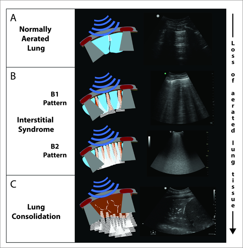 Figure 12: