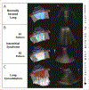 Figure 12:
